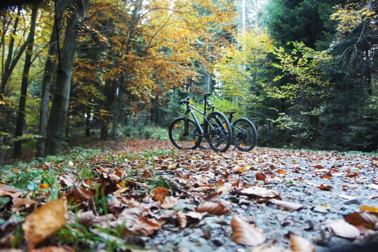 Апартаменты Rowerowyfun Новы Сонч Экстерьер фото